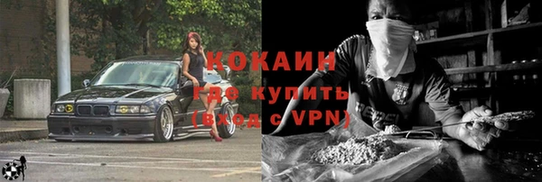 прущие грибы Баксан