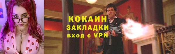 прущие грибы Баксан
