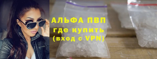 прущие грибы Баксан