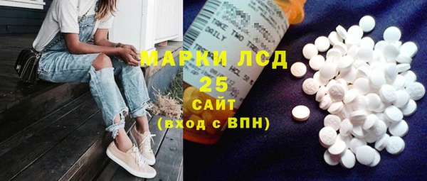прущие грибы Баксан