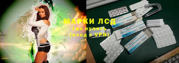 прущие грибы Баксан