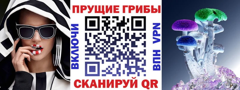 Галлюциногенные грибы ЛСД Тында